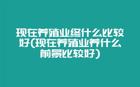 现在养殖业终什么比较好(现在养殖业养什么前景比较好)-会东网