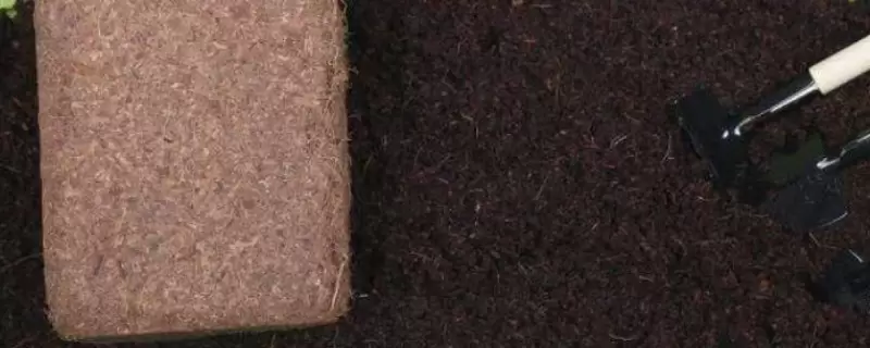 椰砖土是酸性还是碱性-会东网