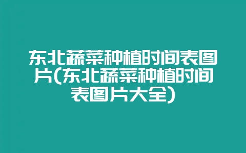 东北蔬菜种植时间表图片(东北蔬菜种植时间表图片大全)-会东网