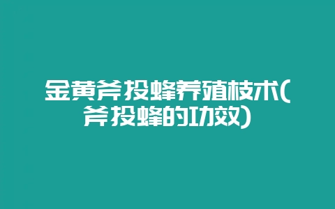 金黄斧头蜂养殖枝术(斧头蜂的功效)-会东网