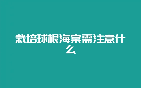 栽培球根海棠需注意什么-会东网