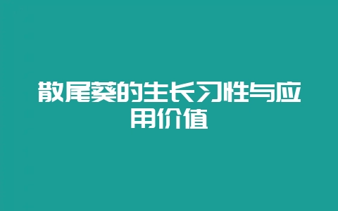 散尾葵的生长习性与应用价值-会东网