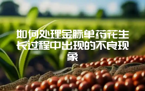 如何处理金脉单药花生长过程中出现的不良现象-会东网