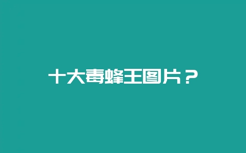 十大毒蜂王图片？-会东网