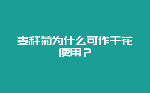 麦秆菊为什么可作干花使用？-会东网