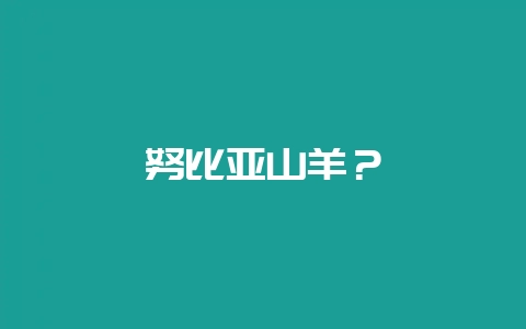 努比亚山羊？-会东网