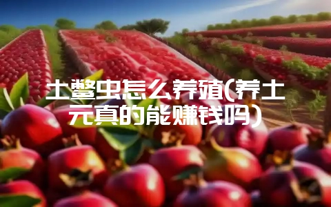 土鳖虫怎么养殖(养土元真的能赚钱吗)-会东网