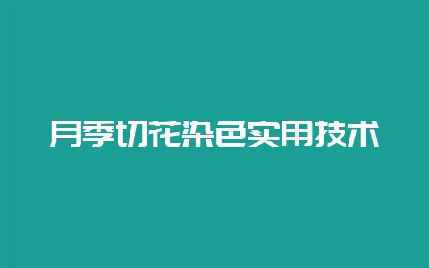 月季切花染色实用技术-会东网