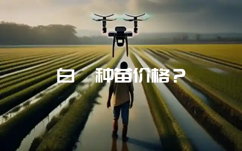 白芨种苗价格？-会东网
