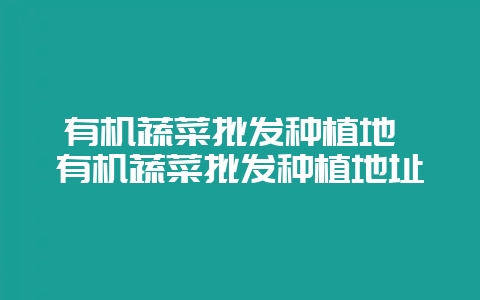 有机蔬菜批发种植地 有机蔬菜批发种植地址-会东网