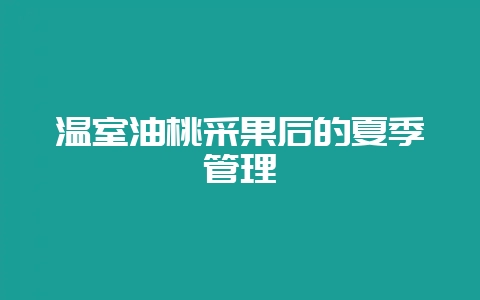 温室油桃采果后的夏季管理-会东网
