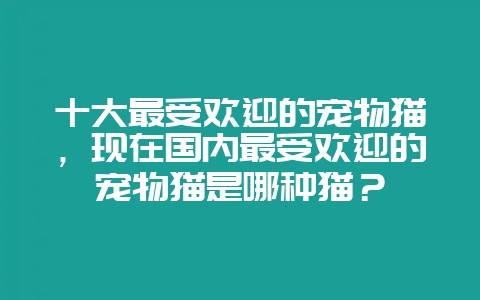 十大最受欢迎的宠物猫，现在国内最受欢迎的宠物猫是哪种猫？-会东网
