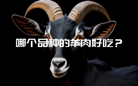 哪个品种的羊肉好吃?插图 哪个品种的羊肉好吃?插图