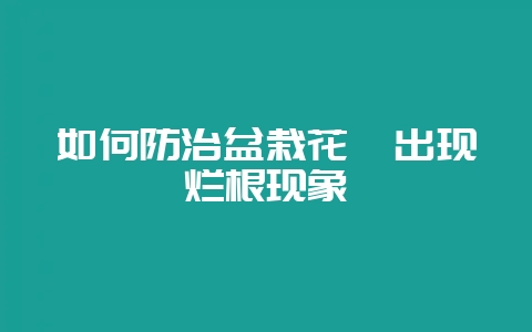 如何防治盆栽花卉出现烂根现象-会东网