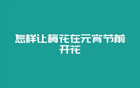 怎样让梅花在元宵节前开花-会东网