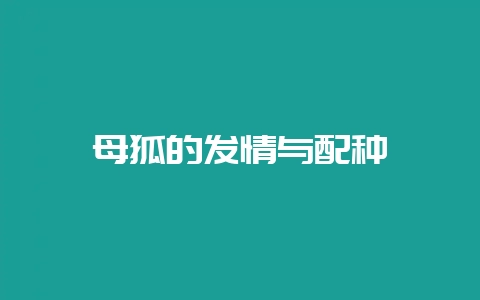 母狐的发情与配种-会东网