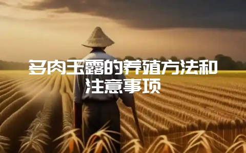 多肉玉露的养殖方法和注意事项-会东网