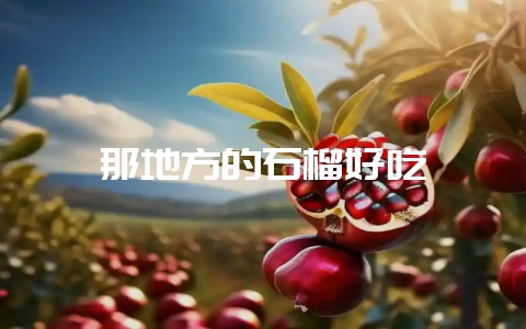 那地方的石榴好吃-会东网