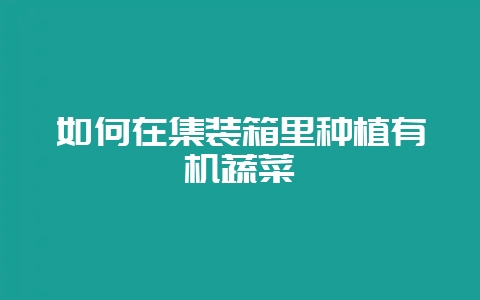 如何在集装箱里种植有机蔬菜插图 如何在集装箱里种植有机蔬菜插图