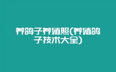 养鸽子养殖照(养殖鸽子技术大全)-会东网