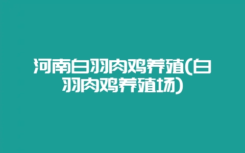 河南白羽肉鸡养殖(白羽肉鸡养殖场)-会东网