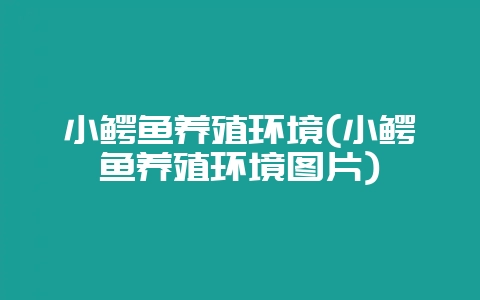 小鳄鱼养殖环境(小鳄鱼养殖环境图片)-会东网