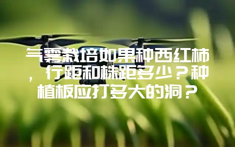 气雾栽培如果种西红柿，行距和株距多少？种植板应打多大的洞？-会东网