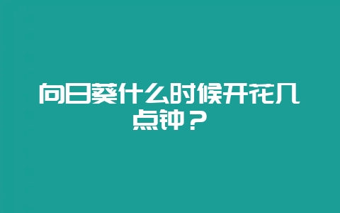 向日葵什么时候开花几点钟？-会东网