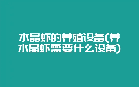 水晶虾的养殖设备(养水晶虾需要什么设备)-会东网