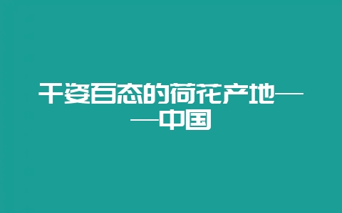 千姿百态的荷花产地——中国-会东网