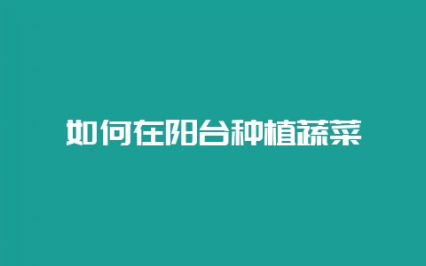 如何在阳台种植蔬菜-会东网