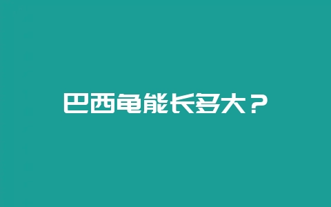 巴西龟能长多大？-会东网