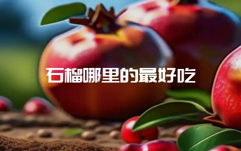 石榴哪里的最好吃-会东网