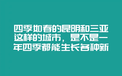 四季如春的昆明和三亚这样的城市，是不是一年四季都能生长各种新鲜的蔬菜？有哪些蔬菜适合在这样的城市生长？-会东网