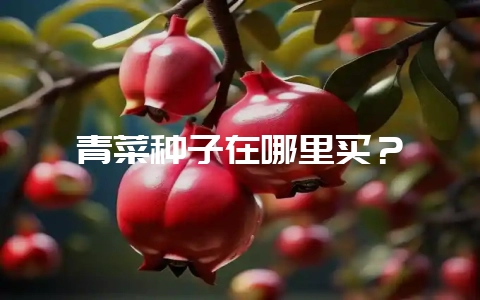 青菜种子在哪里买？-会东网