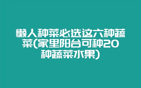 懒人种菜必选这六种蔬菜(家里阳台可种20种蔬菜水果)插图 懒人种菜必选这六种蔬菜(家里阳台可种20种蔬菜水果)插图