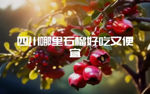 四川哪里石榴好吃又便宜插图 四川哪里石榴好吃又便宜插图