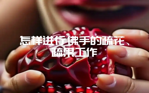 怎样进行佛手的疏花、疏果工作-会东网