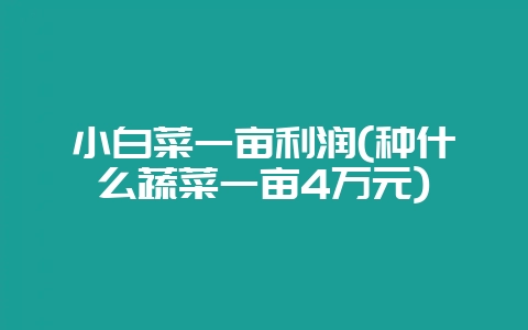 小白菜一亩利润(种什么蔬菜一亩4万元)-会东网