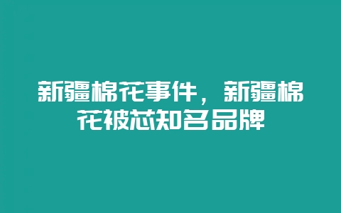 新疆棉花事件，新疆棉花被芯知名品牌-会东网
