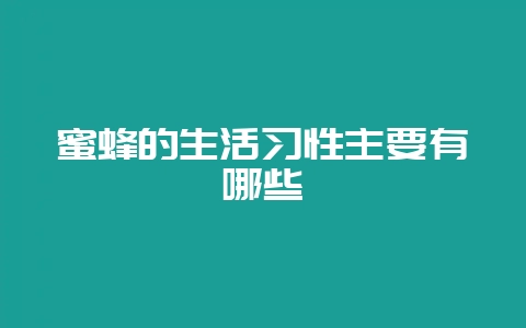 蜜蜂的生活习性主要有哪些-会东网