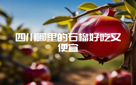 四川哪里的石榴好吃又便宜-会东网