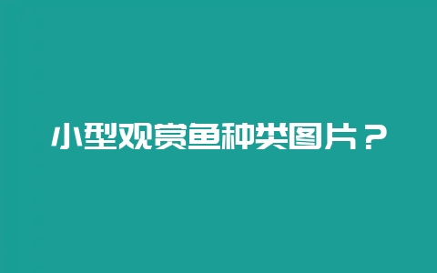小型观赏鱼种类图片?插图 小型观赏鱼种类图片?插图
