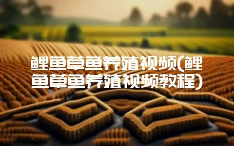 鲤鱼草鱼养殖视频(鲤鱼草鱼养殖视频教程)-会东网