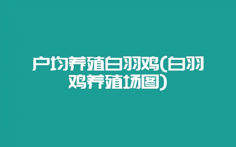 户均养殖白羽鸡(白羽鸡养殖场图)-会东网
