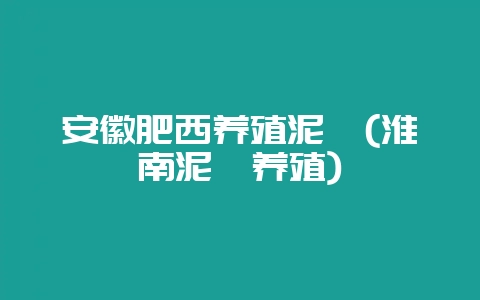 安徽肥西养殖泥鳅(淮南泥鳅养殖)-会东网