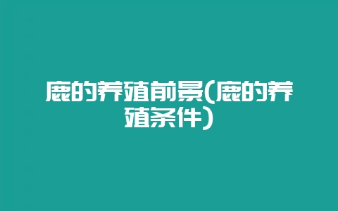 鹿的养殖前景(鹿的养殖条件)插图 鹿的养殖前景(鹿的养殖条件)插图