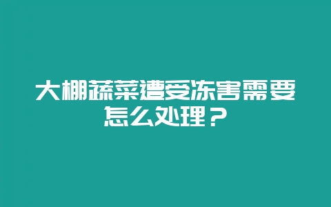 大棚蔬菜遭受冻害需要怎么处理？-会东网