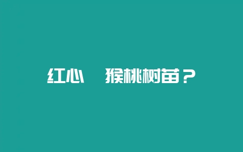 红心猕猴桃树苗?插图 红心猕猴桃树苗?插图