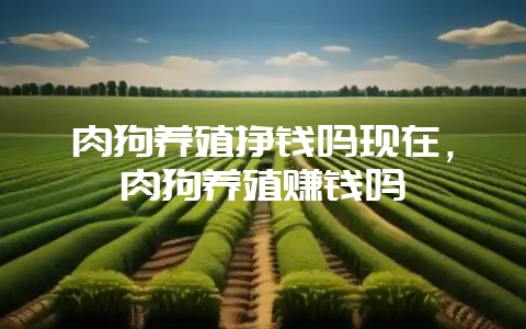 肉狗养殖挣钱吗现在，肉狗养殖赚钱吗-会东网